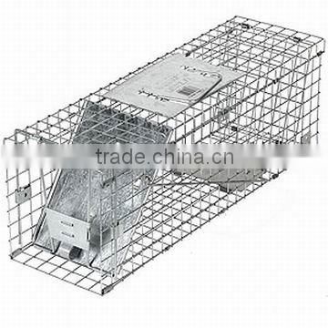 rat cage