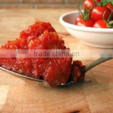 tomato paste in standing pouch 113g