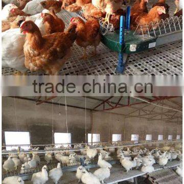 plastic flooring for chicken/duck/rubbit (Professional Manufacturer)