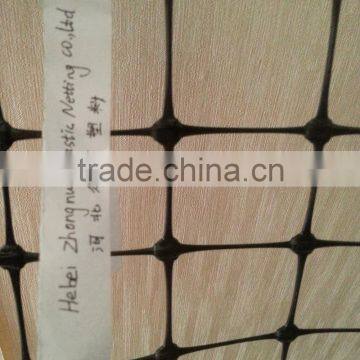 Strong Plastic Slope Road Protection Net/Ground Softing Net/Grass Growing Net photo-4