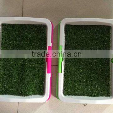 New Design Plastic Indoor Cat Toilet Training For Litter