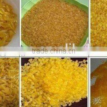 Organic Instant Porridge Machine/Nutritional Rice Processing Line
