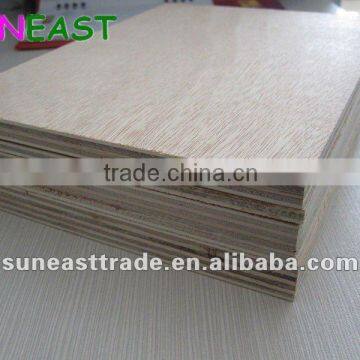 16mm okoume plywood 11 layers core for Israel market