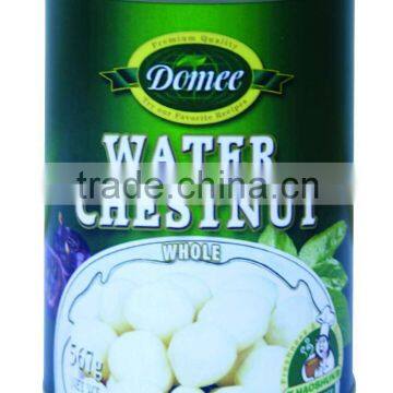 Canned Water Chestnut whole,canned fruit,water chestnut