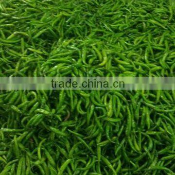 FRESH GREEN CHILI