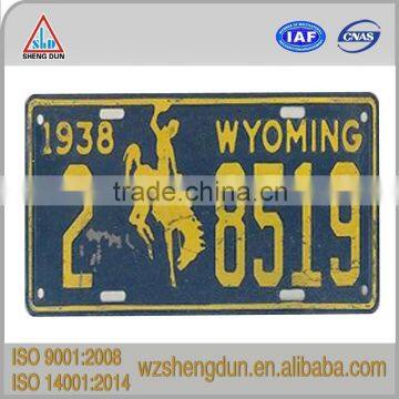 customizable embossed illuminated license plate for decoration