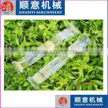 Automatic jelly bar/fruit jelly stick packing/packaging machine