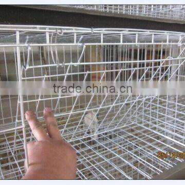 H Type Automatic Layer Poultry Cages for Nigeria photo-2