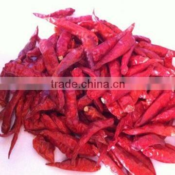 fresh chili, dried chili