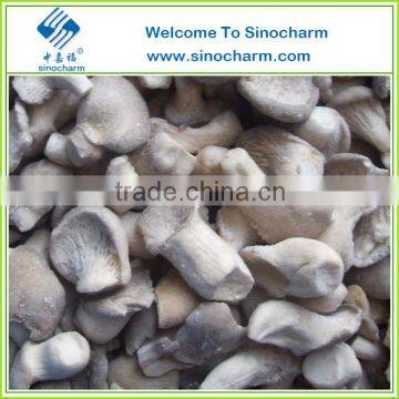 Export IQF Baby Oyster