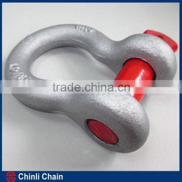 US Type Drop Forged Screw Pin Anchor Shackle- Shackle