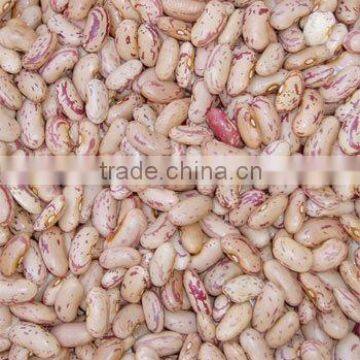 we are supply speckled Kidney Beans with good quality for sale