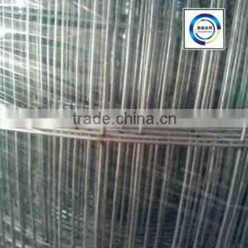 3.2 mm,1.8x1.2m, 2 Inch Galvanized Welded Wire Mesh