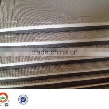 XPE Foam Tatami,taekwondo,gymnastic,EVA Mat,karate Mat,interlocking Mat photo-4
