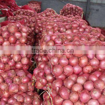 Sweet Onion Price 1 kg From Chinese Onion Exporter