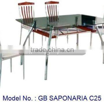 Dining Set, Glass Metal Dining Set, Glassntop Table