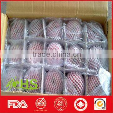 Chinese Shandong Fresh Fuji Apples for Export photo-6