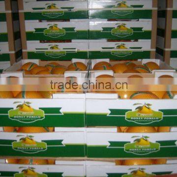 Honey Pomelo Grapefruit photo-3