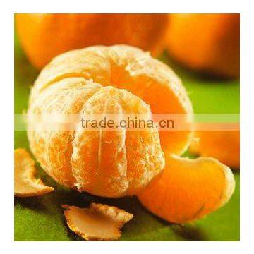 New Year 2017 Special Offer - Best Mandarin Pakistan 2017