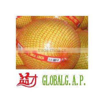 Chinese Pinghe honey pomelo