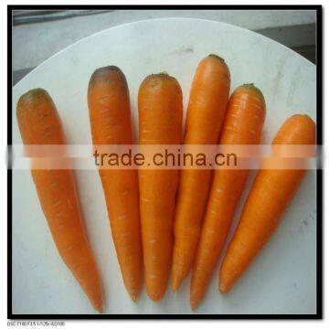 Red Carrot 2L