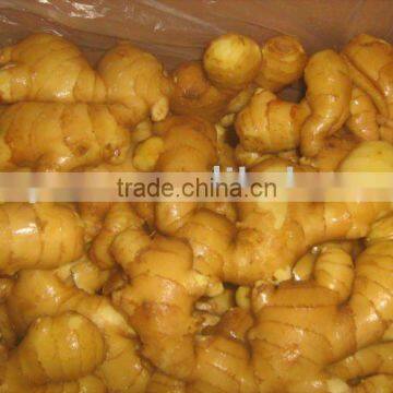 New Crop Fresh Ginger