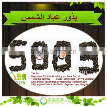 Wholesale Raw 5009 Sunflower Seeds China