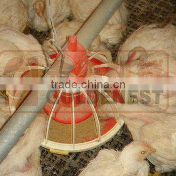 chicken feeding and drinking system