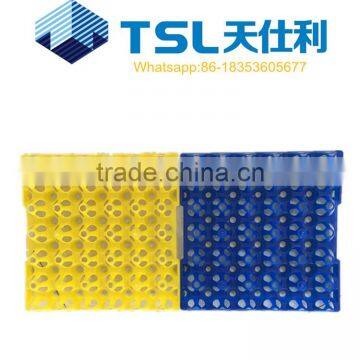 30 holes pp plastic egg tray