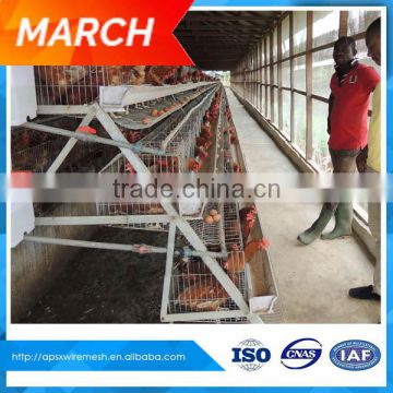 layer rearing cage for poultry farm chicken house