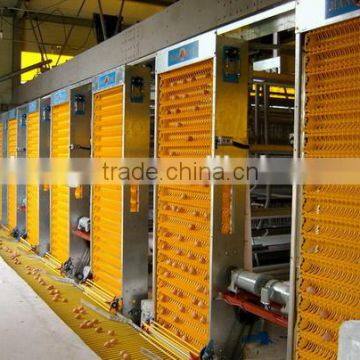Automatic Layer Poultry Cage With Egg Collecting Machine photo-2
