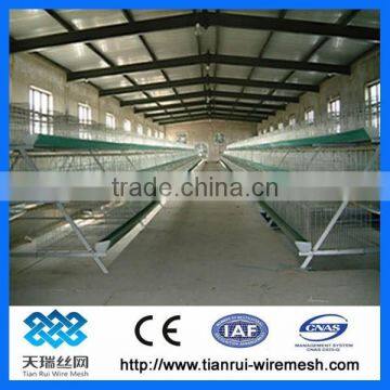 Hot Sale Good Quality Layer Chicken Cage For Poultry Farm photo-5