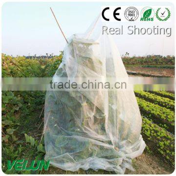 Plant Cover ss Polypropylene Spunbonded Nonwoven Fabric photo-2