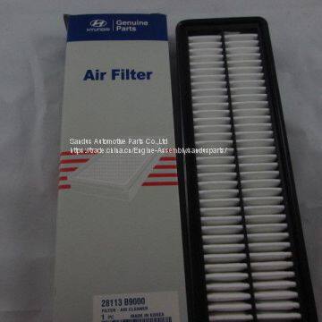 Engine Parts Air Filter for Hyundai 28113 B9000