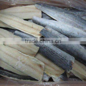 frozen spanish mackerel fillets