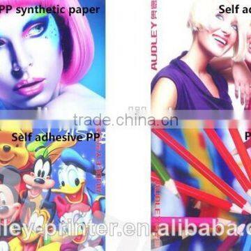 Audley 1.9m Multicolor Dx7 Head Eco Solvent Printer ADL-A1971 photo-4