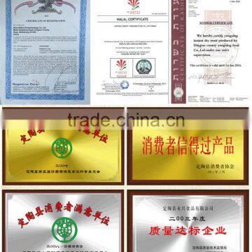 Instant Fruit Juice Powder in Bulk Packing & Small Packing photo-6