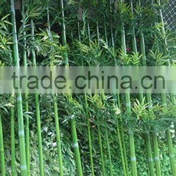 Hign Qulaity New Green Chinese Plastic Outdoor Decor Artificial Lucky Bamboo Poles Fence Plants photo-5