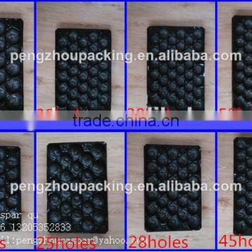 FDA Approved Vacuum Formed PP Food Serving Trays For Fresh Fruit Packaging photo-4