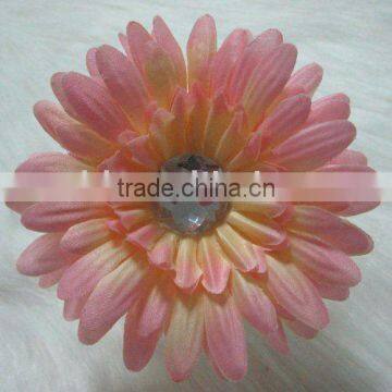 Gerbera daisy