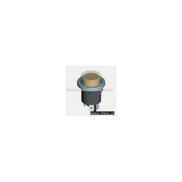 Push switch (ON-OFF LIT)