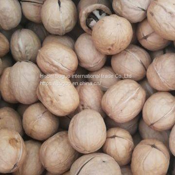 2020 Wholesaler Best Price 33 Walnuts Inshell for Sale photo-2