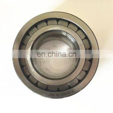 Printing machine bearing F-207407.02 NUP pump bearings Cylindrical Roller Bearing NSK NTN JAPAN BEARINGS