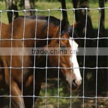 animal fence