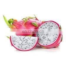 HOT SELLING TROPICAL FRUIT FRESH DRAGON/PITAYA FRUIT FROM VIET NAM photo-3