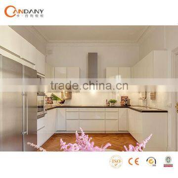 Professional kitchen cabinet Manufacturer in China Guangdong( CDY-S248)