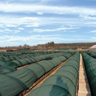 65GSM 70% Sunshade Net 105GSM 90% Green Shade Netting For Agriculture Greenhouse Shading Net