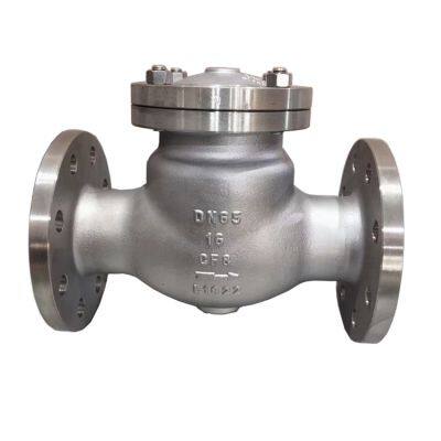 Durable ANSI Cast Steel Check Valve With Corrosion Resistant Coating for Harsh Environments photo-2