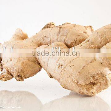 Yellow Dried Ginger