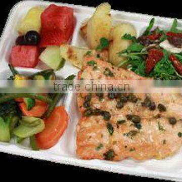 5 compartments school lunch tray